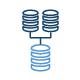Maintains Data Integrity and Quality