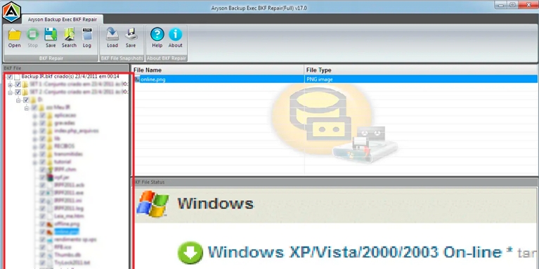 Preview all recovered items