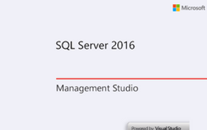 mssql image